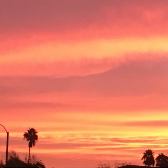 Meet your Posher, Debbie - Picture 8 of 8